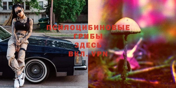 mix Белокуриха
