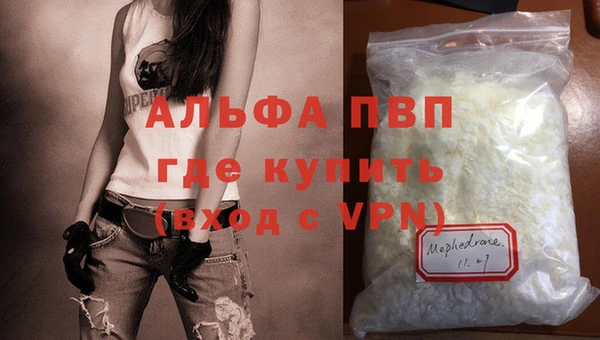 эйфоретик Беломорск