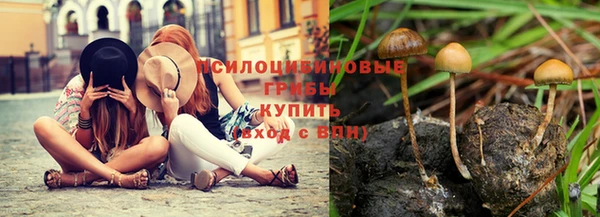 mix Белокуриха