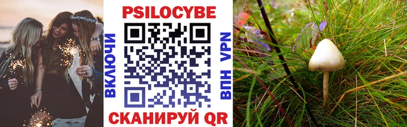 Галлюциногенные грибы GOLDEN TEACHER  omg ссылки  Бузулук 
